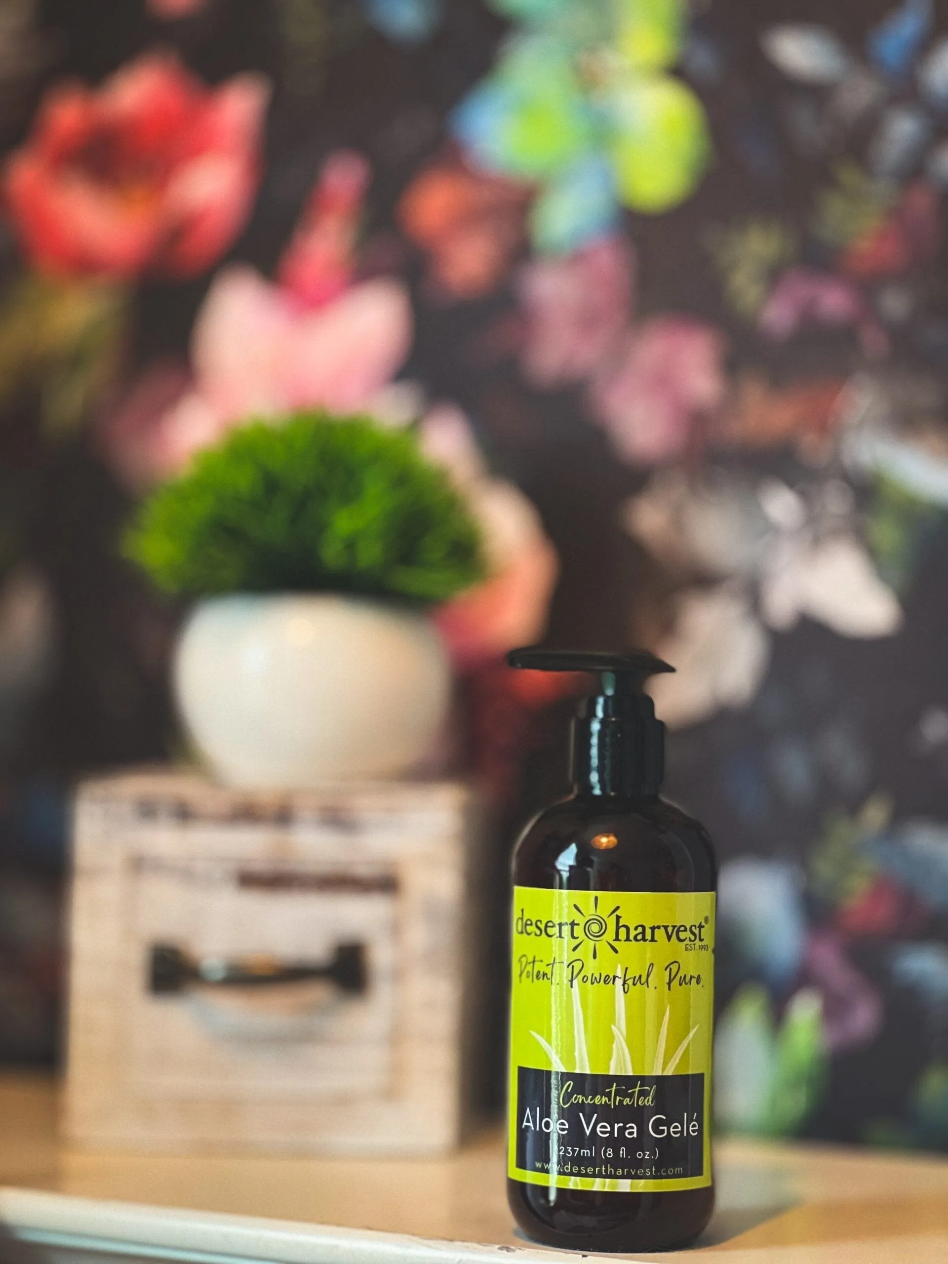 Aloe Vera Gelé | Organic - 8 & 16 Fl oz