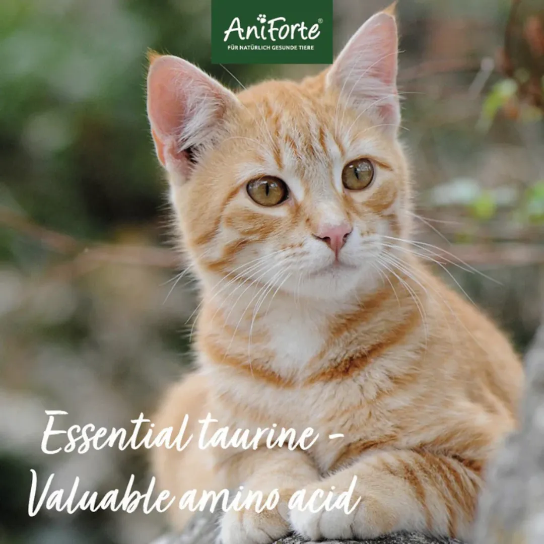 AniForte Taurine Powder for Cats