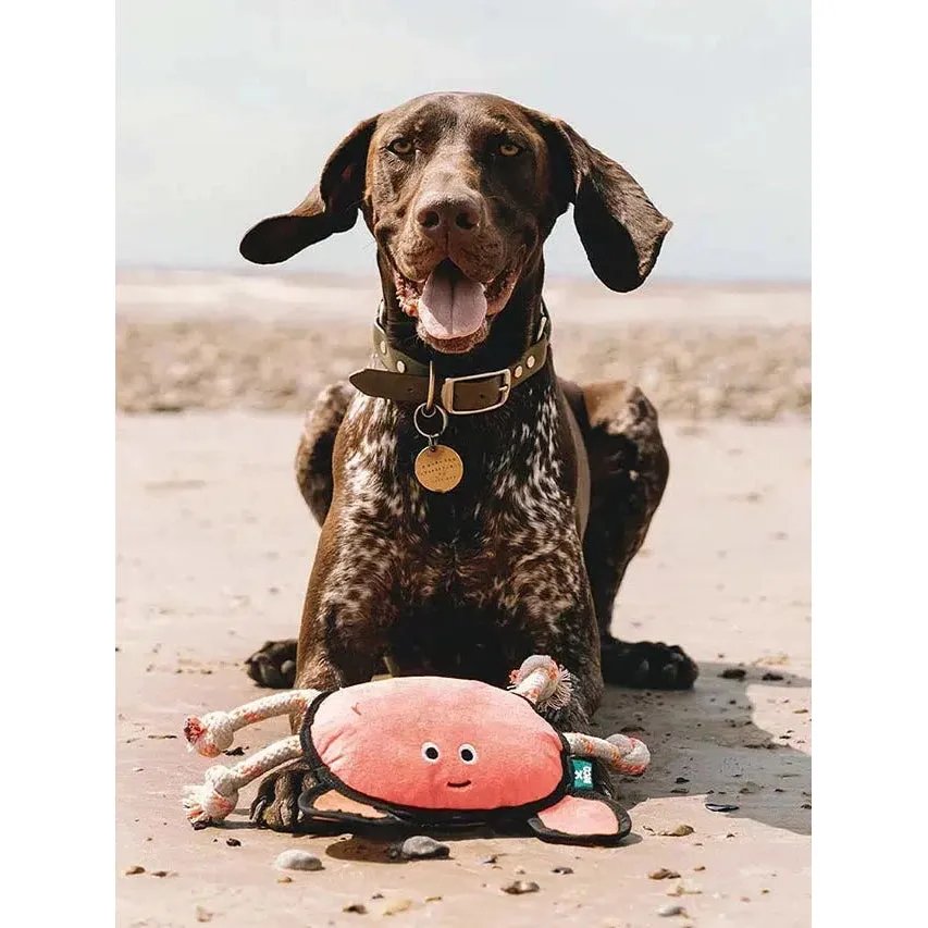 Beco - Recycled Rough & Tough - Cora the Crab Dog Toy