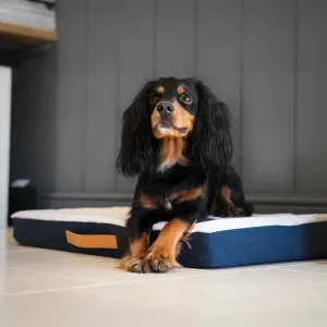Essentials Twill Orthopaedic Mattress in Denim by Lords & Labradors