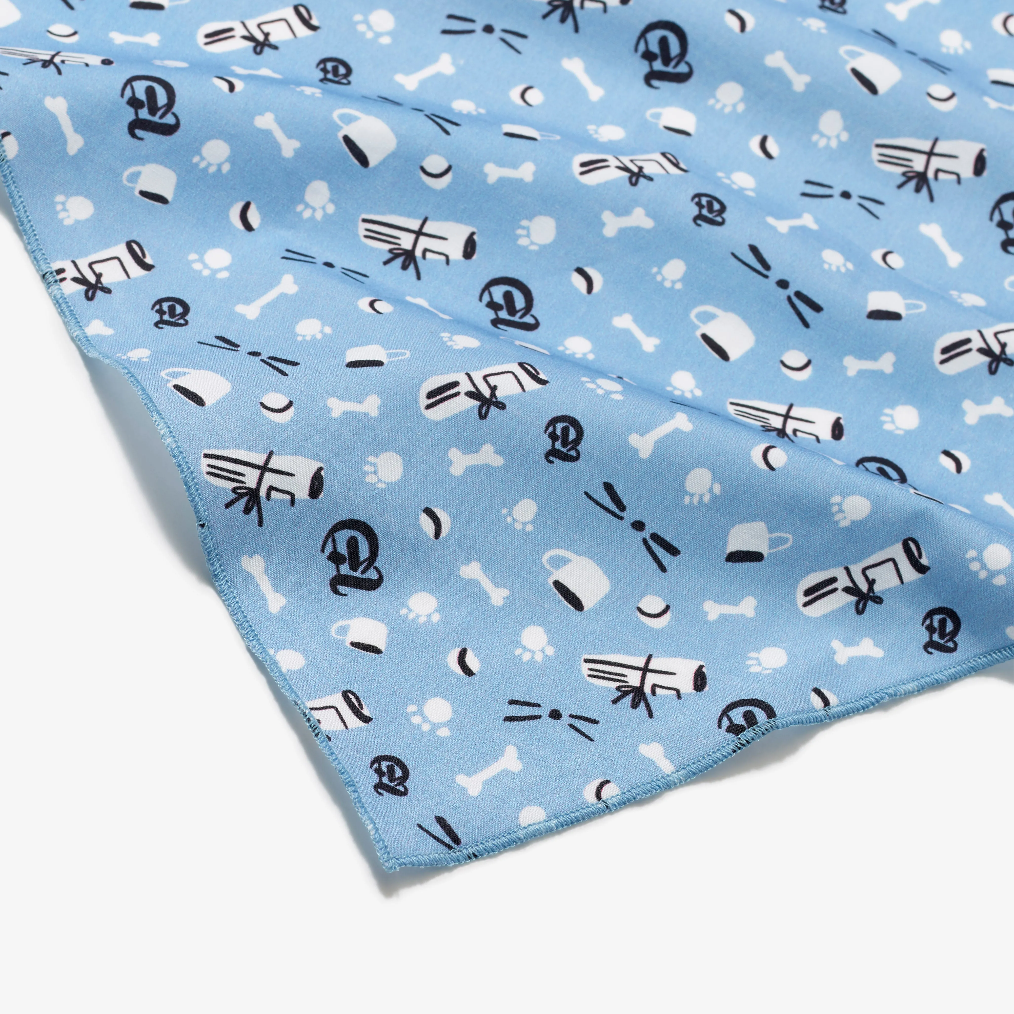 Fetching Blue Pet Bandana