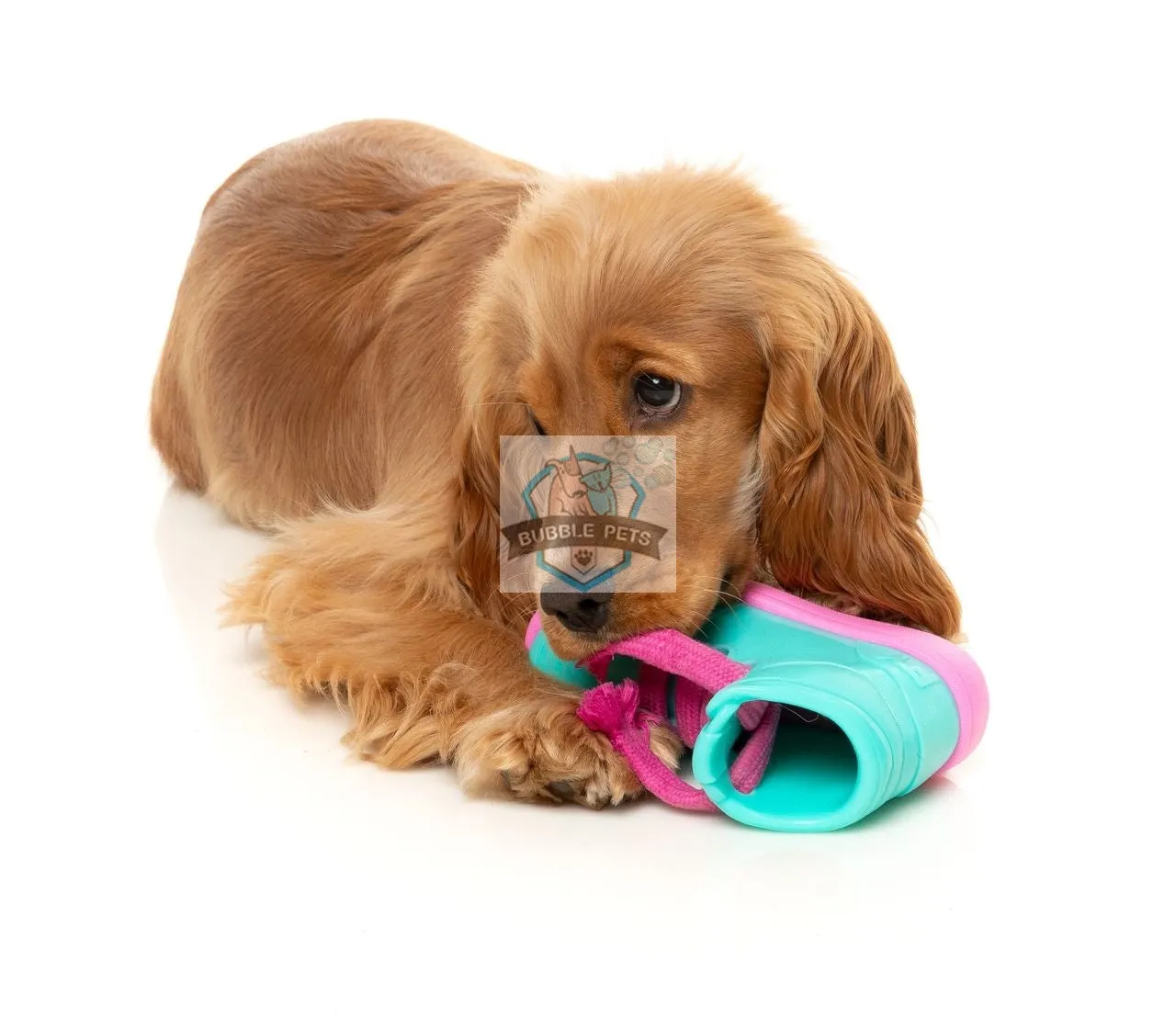 FuzzYard Fresh Kicks N' Licks Dog Toy