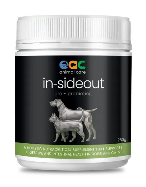 IN-SIDE OUT