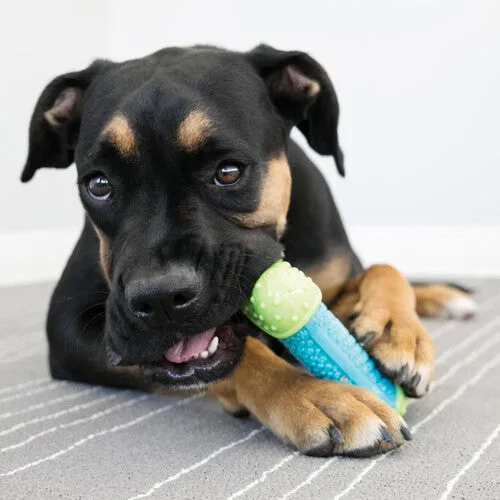KONG Core Strength Dog Toy - Medium/Large