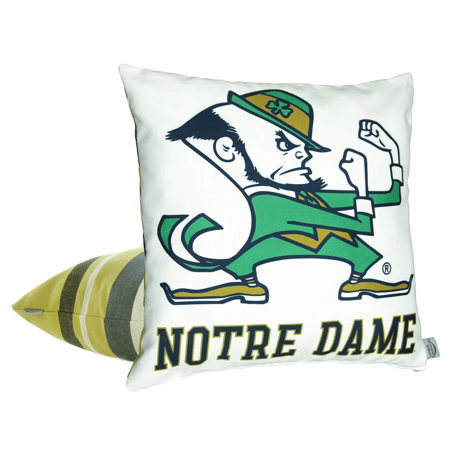 Notre Dame Fighting Irish Hanging Chair Swing |LEPRECHAUN