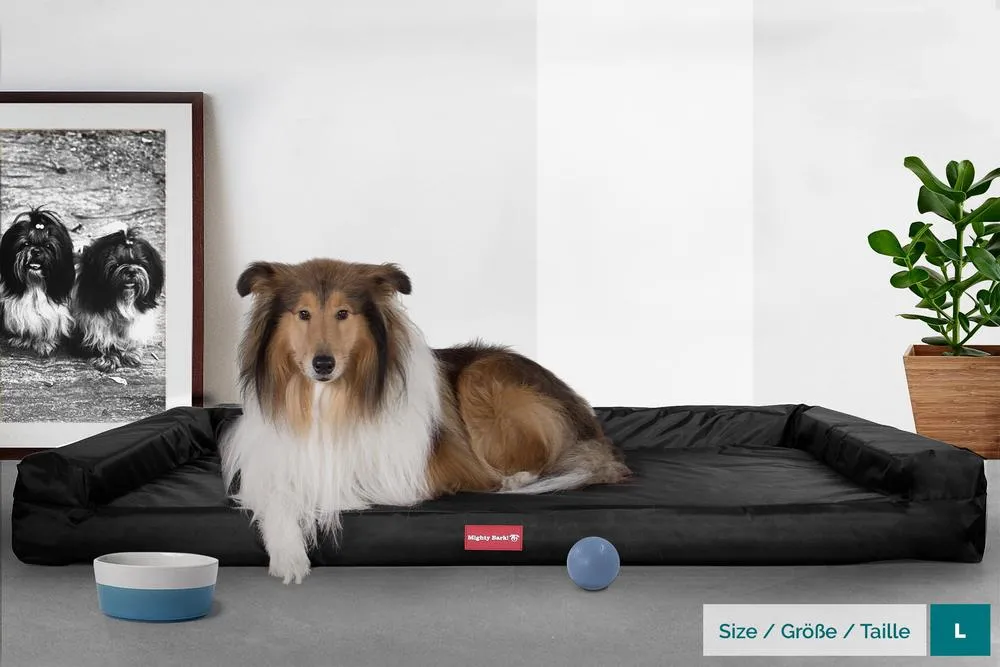 The Bench Orthopedic Memory Foam Dog Bed - Waterproof Black