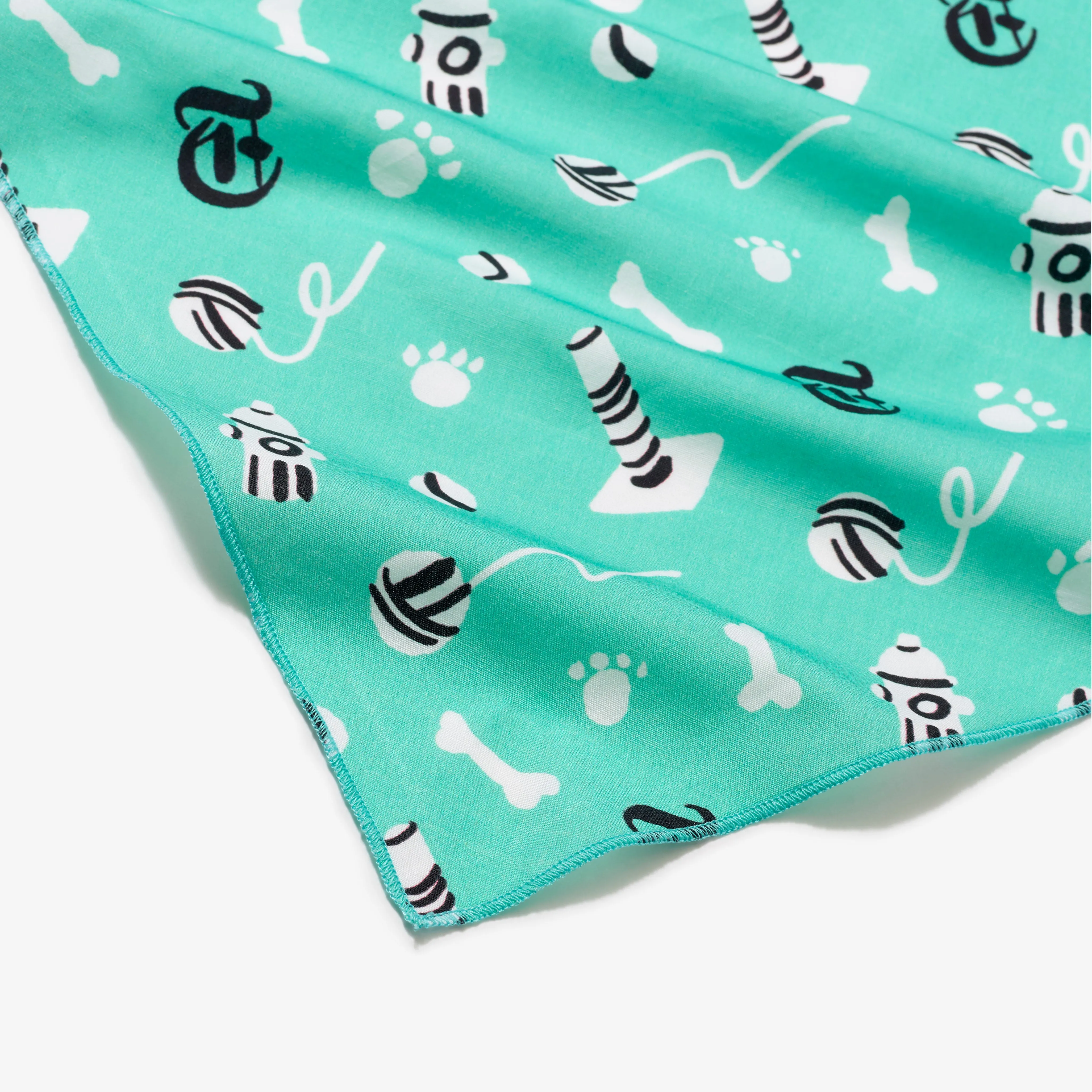 Winsome Green Pet Bandana