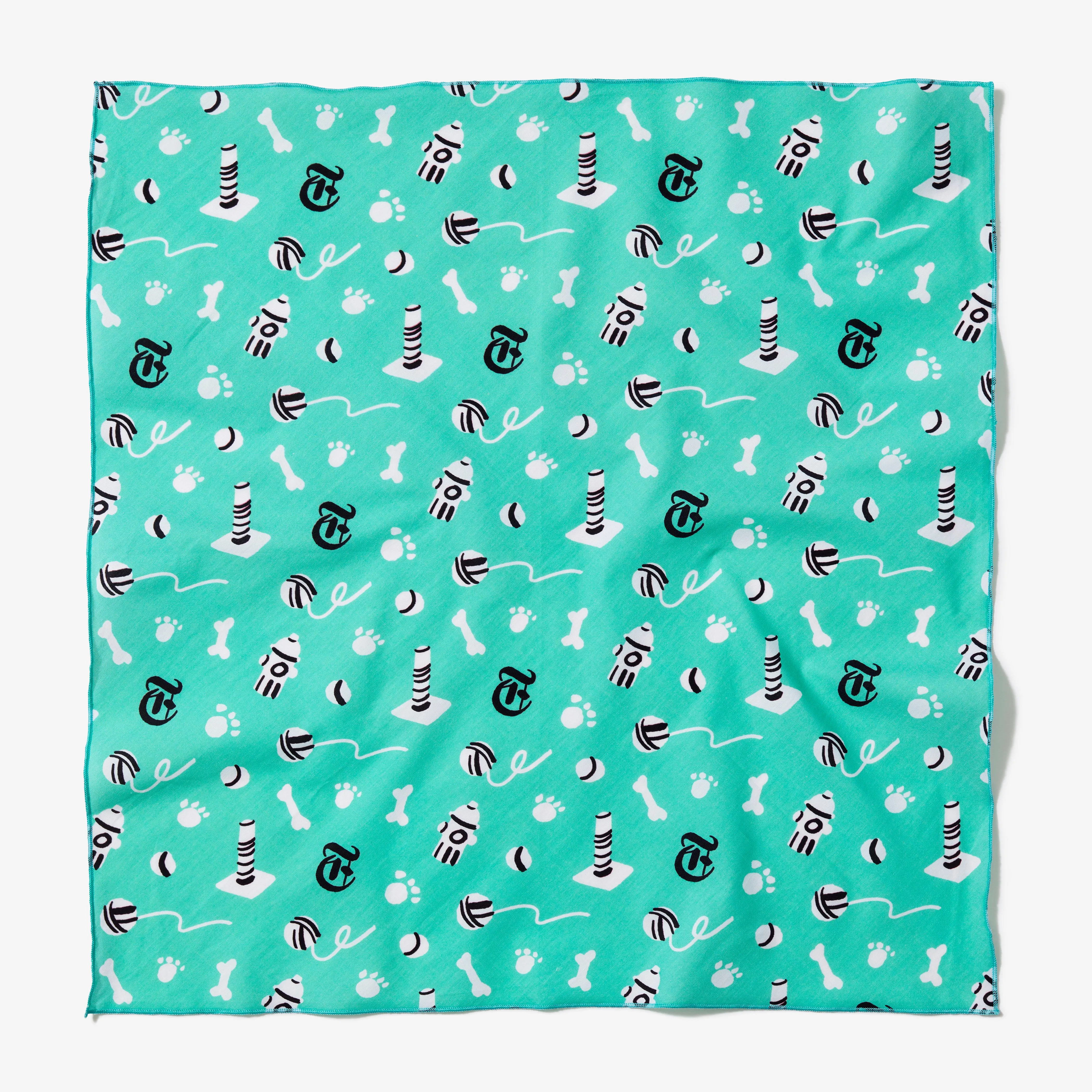 Winsome Green Pet Bandana