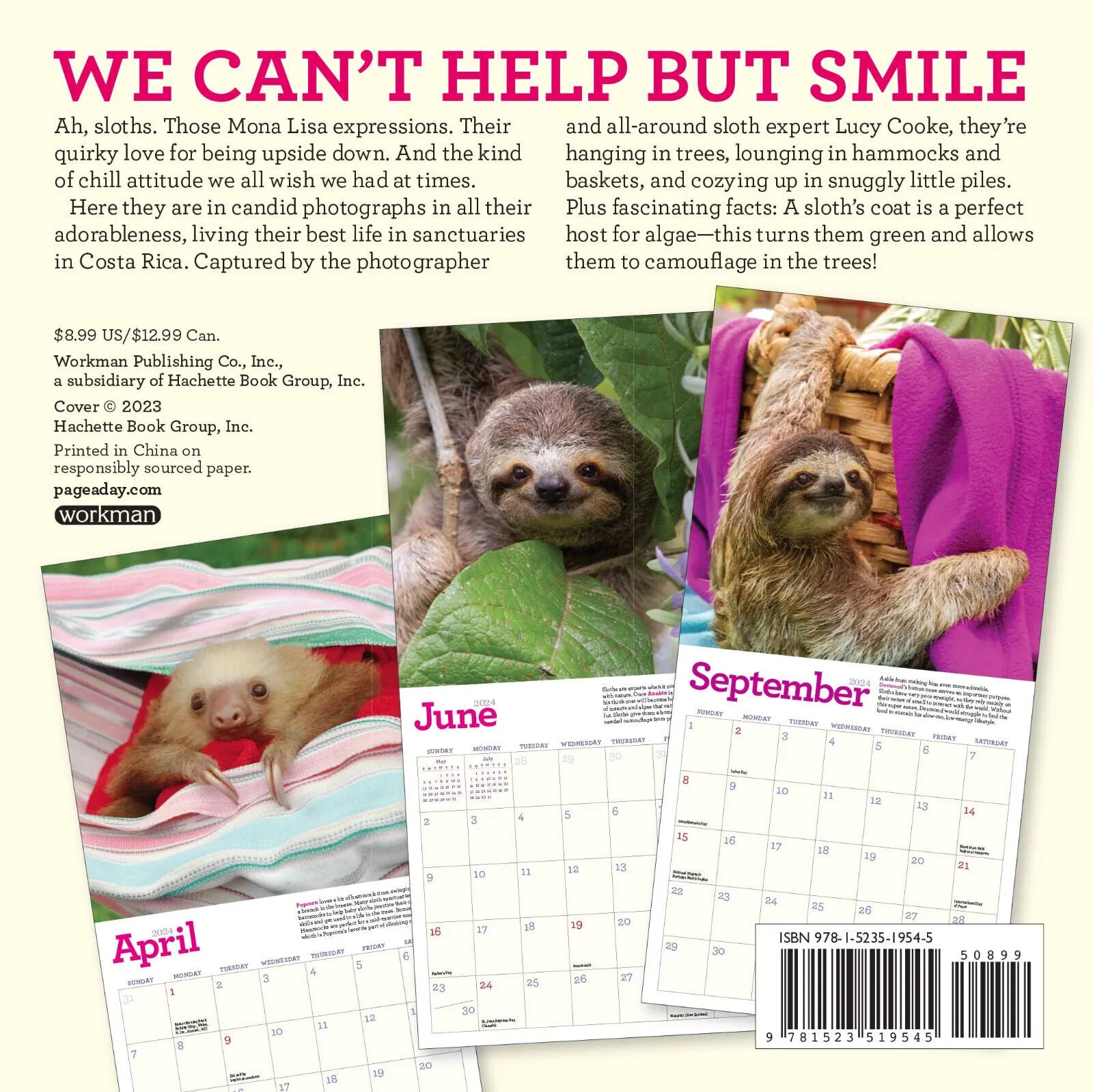 Workman Original Sloths 2024 Mini Calendar